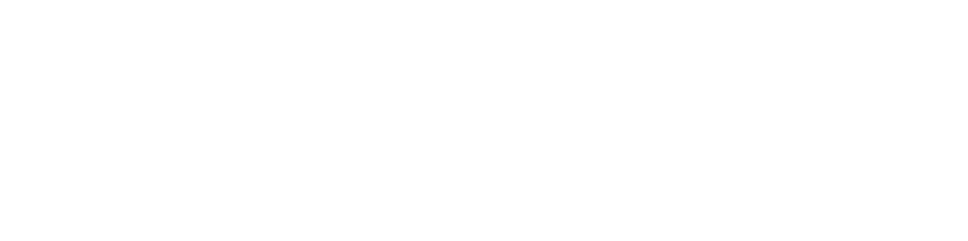Logo Docteur Ferrari